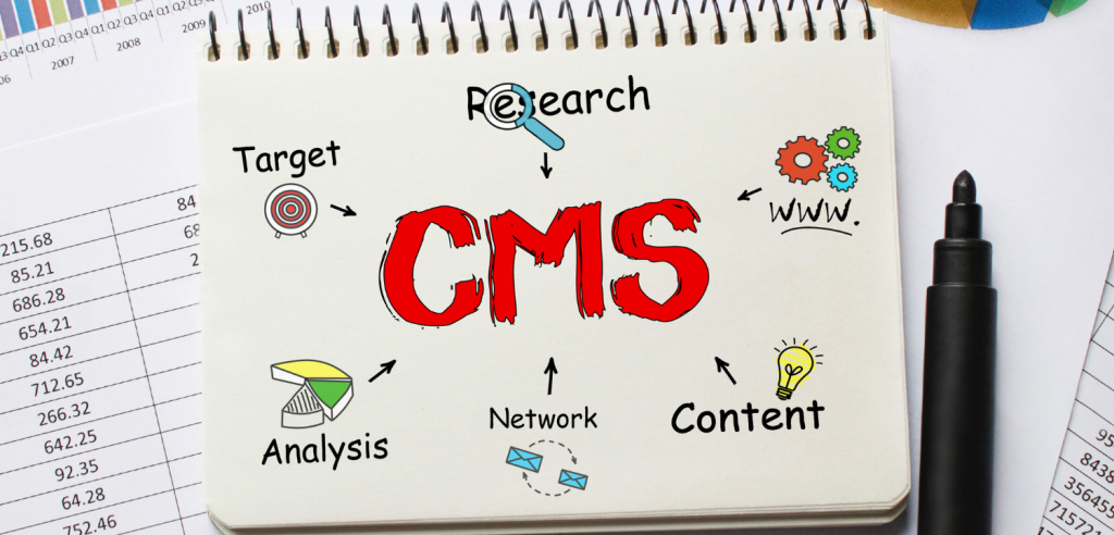 CMS service for website development
